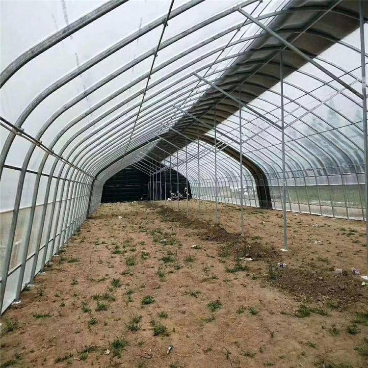 日光溫室與蔬菜大棚 從設計到建造的全方位解析